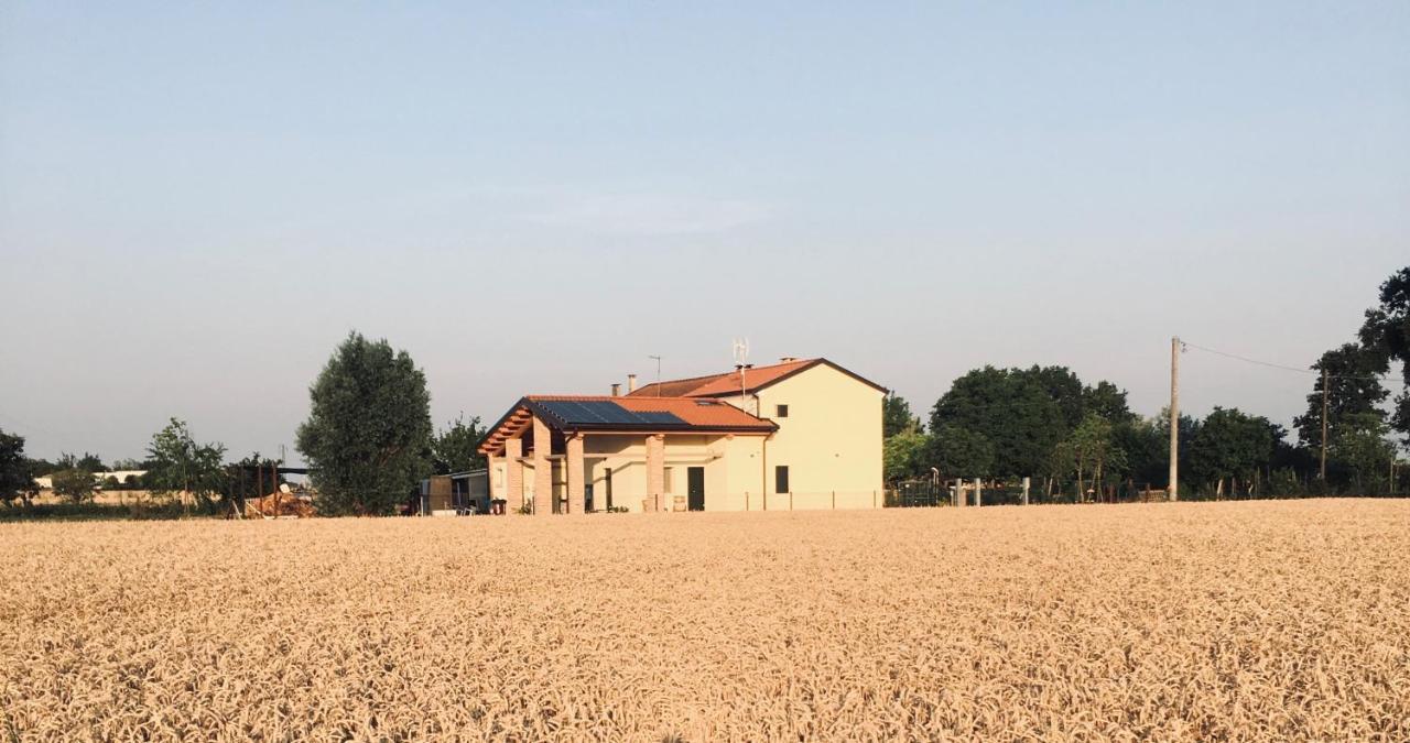 B&B Casa Egle Corbola Εξωτερικό φωτογραφία